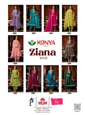 Desi kudi ziana vol 1 anarkali wholesale desighner catalogue kurtis 